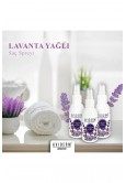 Aviderm Bit Kovucu Lavanta Yağlı Saç Spreyi 100 ml